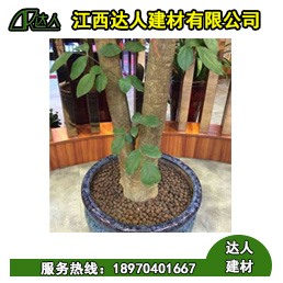 花卉園林陶粒好不好用？